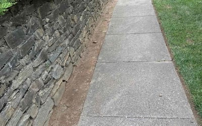 Photo of Calvin R.'s yard after getting tree care in Kensington, MD