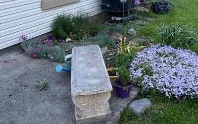 Photo of Dixie S.'s yard after getting tree care in Indianapolis, IN