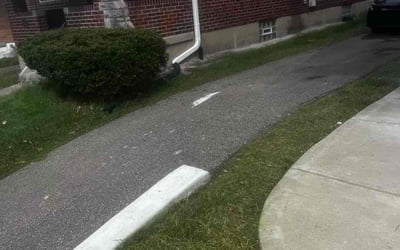 Photo of Lisa C.'s yard after getting landscaping in Liberty, IN