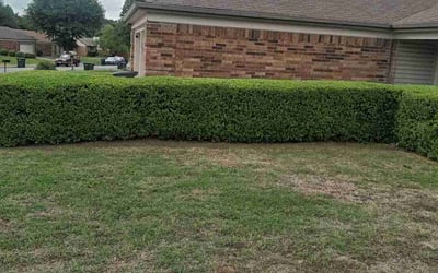 Photo of Valerie S.'s yard after getting landscaping in Fort Worth, TX