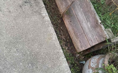 Photo of Laura T.'s yard after getting landscaping in Jeffersonton, VA