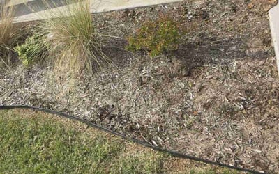 Photo of Mark E.'s yard after getting landscaping in Greenville, TX