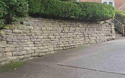 Photo of Dorothy E.'s yard after getting tree care in Coatesville, PA