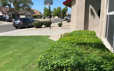 Photo of Curtis S.'s yard after getting landscaping in Glendale Luke Afb, AZ