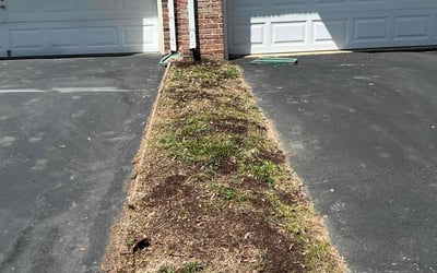 Photo of Alex R.'s yard after getting landscaping in Fairfax, VA