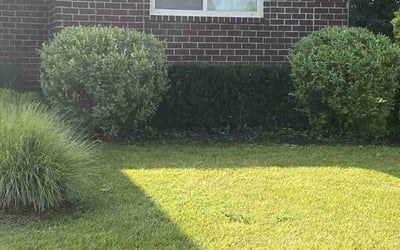 Photo of Robert M.'s yard after getting landscaping in Utica, MI
