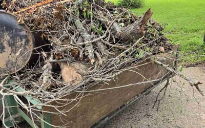 Photo of Michelle S.'s yard after getting landscaping in Lindale, TX