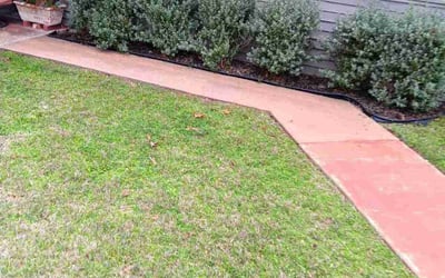 Photo of Matt L.'s yard after getting landscaping in Glen Rose, TX