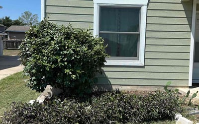 Photo of Amanda T.'s yard after getting landscaping in Fentress, TX
