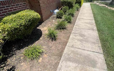 Photo of Hanna M.'s yard after getting landscaping in Tuscarora, MD