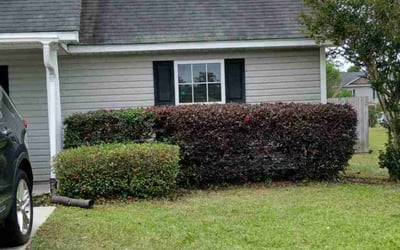 Photo of Matthew D.'s yard after getting landscaping in Hilton Head Island, SC