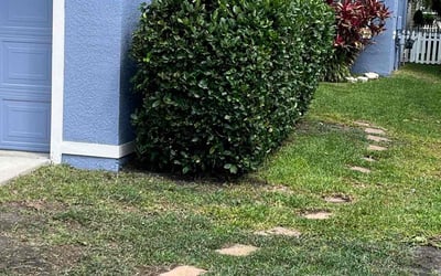 Photo of Tierra H.'s yard after getting landscaping in Lithia, FL