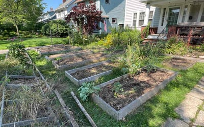 Photo of Jennifer A.'s yard after getting landscaping in Burton, OH