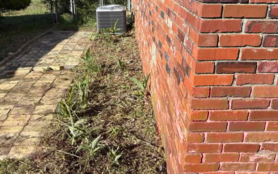 Photo of Bruce W.'s yard after getting landscaping in Augusta, GA