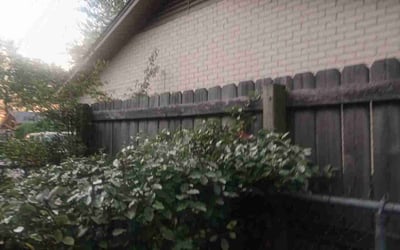 Photo of Melanie A.'s yard after getting landscaping in Longview, TX