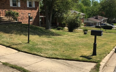 Photo of Donna B.'s yard after getting landscaping in Partlow, VA