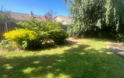 Photo of Monique A.'s yard after getting tree care in Los Altos, CA