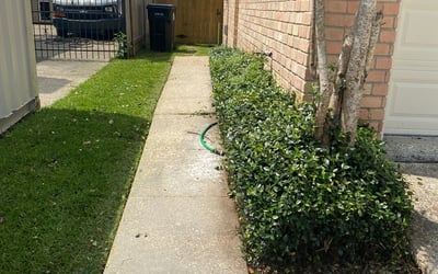 Photo of Mark A.'s yard after getting landscaping in Luling, LA