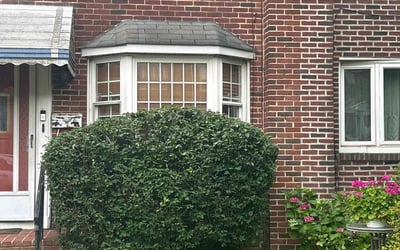 Photo of Michael Y.'s yard after getting lawn care in Wilmington, DE