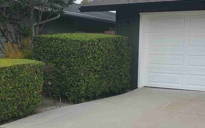 Photo of Alexis B.'s yard after getting landscaping in Aliso Viejo, CA