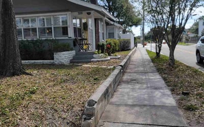 Photo of John S.'s yard after getting tree care in Nokomis, FL