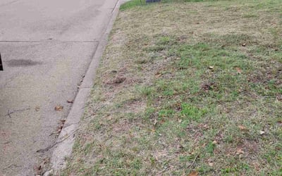 Photo of Daniel S.'s yard after getting landscaping in Kaufman, TX