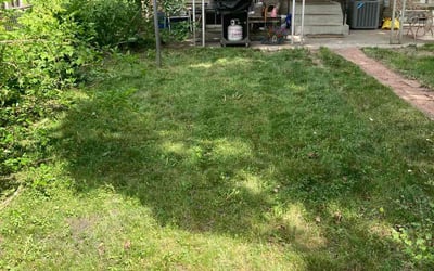 Photo of Sarah M.'s yard after getting landscaping in Stacy, MN