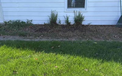 Photo of Michelle C.'s yard after getting landscaping in Carlisle, PA