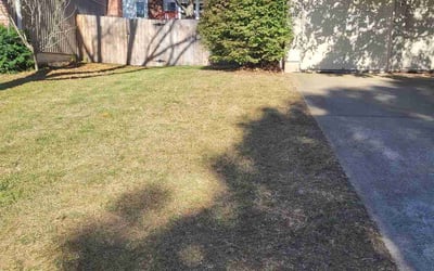 Photo of Trey M.'s yard after getting tree care in Shawnee, KS