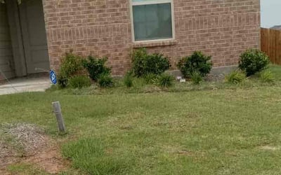 Photo of Marcus C.'s yard after getting tree care in Royse City, TX