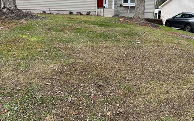 Photo of Brian G.'s yard after getting landscaping in Bowling Green, SC