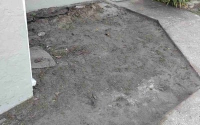 Photo of Andrew C.'s yard after getting tree care in Balm, FL