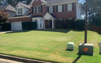 Photo of Nadege L.'s yard after getting tree care in Lithonia, GA