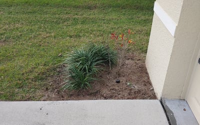 Photo of Rob G.'s yard after getting landscaping in Crystal Beach, FL