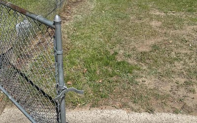 Photo of Michelle L.'s yard after getting landscaping in Grand Rapids, MI