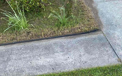 Photo of Terry S.'s yard after getting landscaping in Myrtle Beach, SC