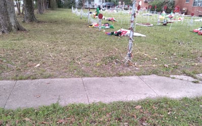 Photo of Monica B.'s yard after getting landscaping in New Roads, LA