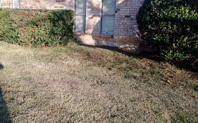 Photo of amy b.'s yard after getting landscaping in Caddo Mills, TX