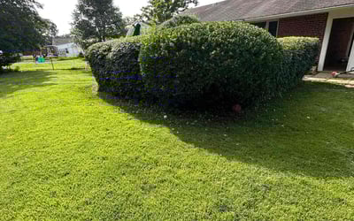 Photo of Michelle G.'s yard after getting landscaping in Brandy Station, VA