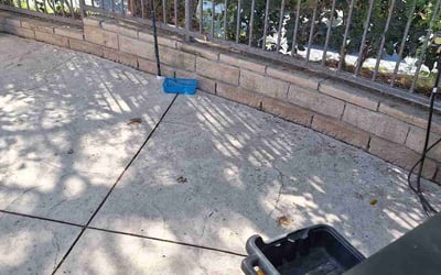 Photo of Chris K.'s yard after getting landscaping in Redondo Beach, CA