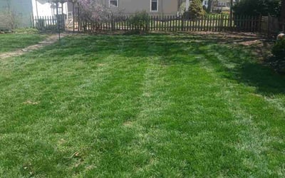 Photo of Jonathan S.'s yard after getting landscaping in Independence, MO