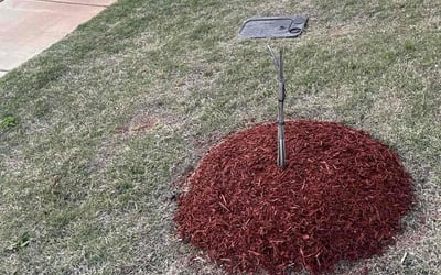 Photo of Karen D.'s yard after getting landscaping in Athens, AL