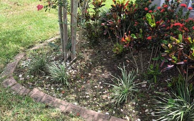 Photo of Terry L.'s yard after getting landscaping in Kenansville, FL