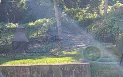Photo of Kevin M.'s yard after getting landscaping in Aliquippa, PA