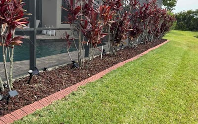 Photo of Tom S.'s yard after getting landscaping in Zephyrhills, FL