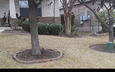 Photo of Emily B.'s yard after getting landscaping in Granger, TX