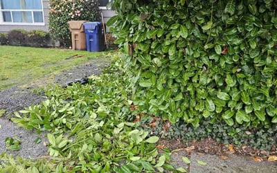 Photo of James G.'s yard after getting landscaping in Tacoma, WA