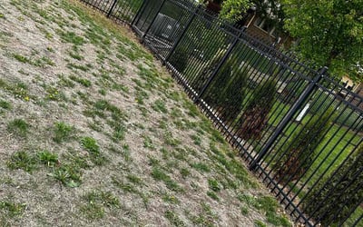 Photo of Andrew R.'s yard after getting landscaping in Wellington, KS