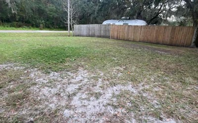 Photo of Karen A.'s yard after getting landscaping in Elfers, FL