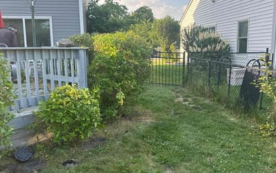 Photo of Kevin R.'s yard after getting tree care in Indianapolis, IN